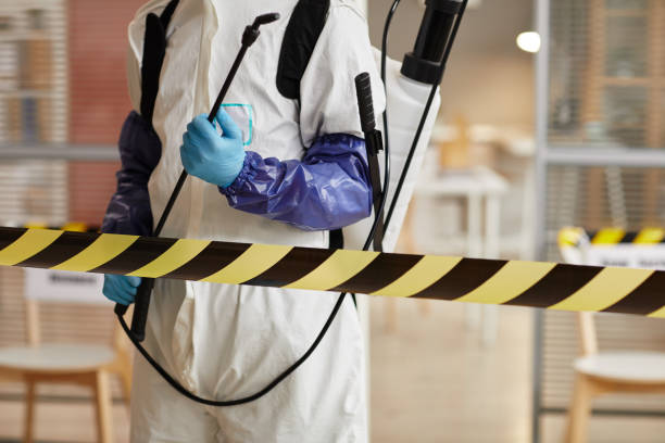 Professional Sewage Cleanup technician working in Long Beach, NY